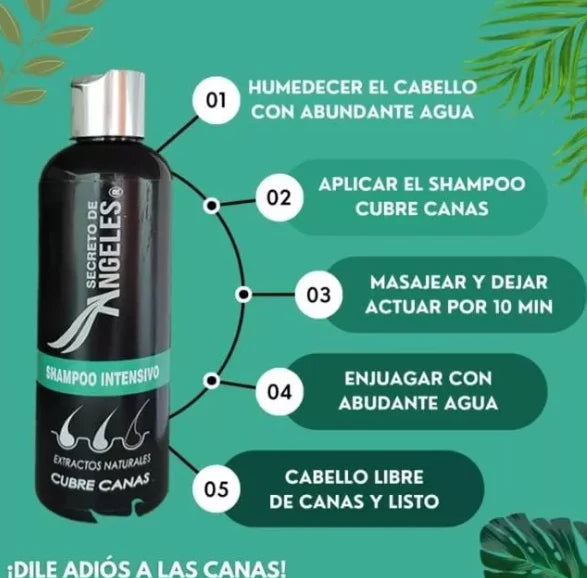 SECRETO DE ÁNGELES™ - Shampoo Cubre Canas