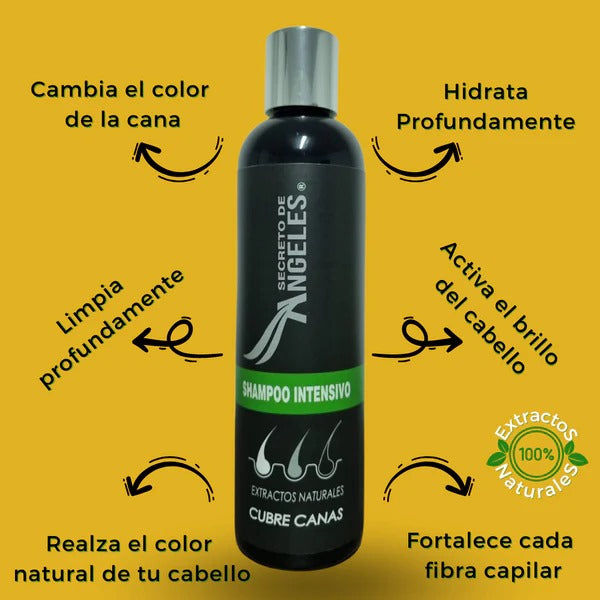 SECRETO DE ÁNGELES™ - Shampoo Cubre Canas
