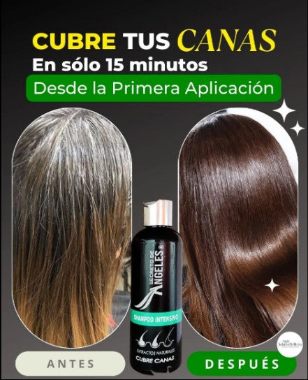 SECRETO DE ÁNGELES™ - Shampoo Cubre Canas