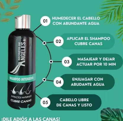 SECRETO DE ÁNGELES™ - Shampoo Cubre Canas