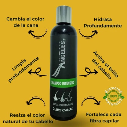 SECRETO DE ÁNGELES™ - Shampoo Cubre Canas